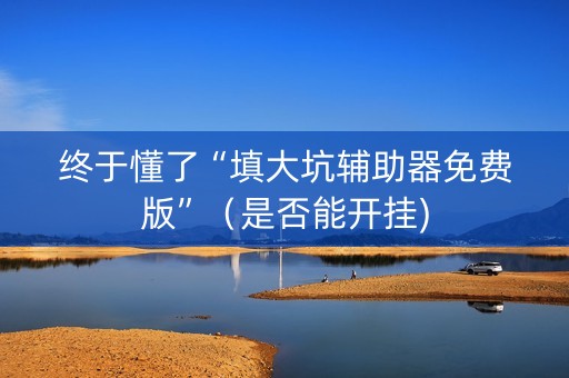终于懂了“填大坑辅助器免费版”（是否能开挂)