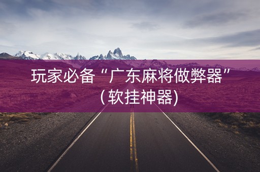 玩家必备“广东麻将做弊器”（软挂神器)