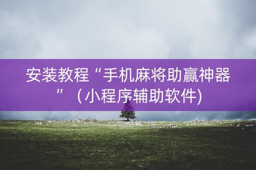 安装教程“手机麻将助赢神器”（小程序辅助软件)