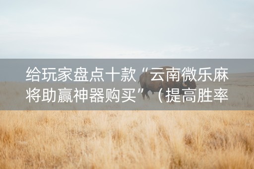 给玩家盘点十款“云南微乐麻将助赢神器购买”（提高胜率技巧)