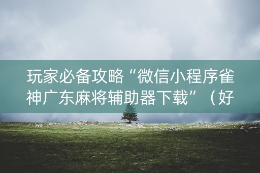 玩家必备攻略“微信小程序雀神广东麻将辅助器下载”（好友房怎么才能赢)