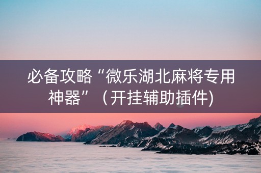 必备攻略“微乐湖北麻将专用神器”（开挂辅助插件)