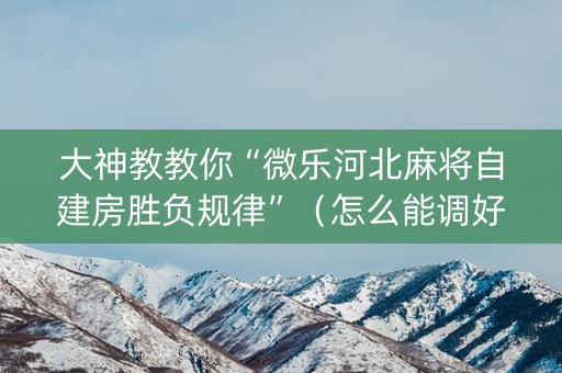 大神教教你“微乐河北麻将自建房胜负规律”（怎么能调好牌)
