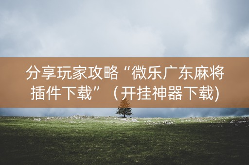 分享玩家攻略“微乐广东麻将插件下载”（开挂神器下载)
