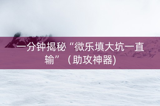 一分钟揭秘“微乐填大坑一直输”（助攻神器)
