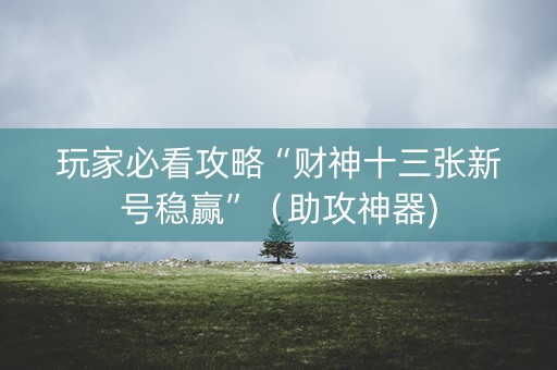 玩家必看攻略“财神十三张新号稳赢”（助攻神器)