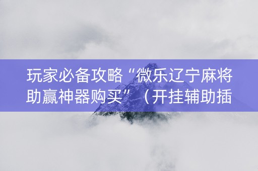 玩家必备攻略“微乐辽宁麻将助赢神器购买”（开挂辅助插件)