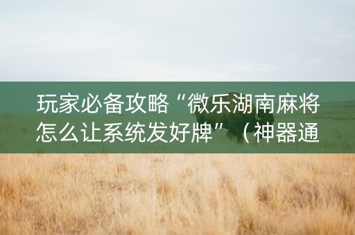 玩家必备攻略“微乐湖南麻将怎么让系统发好牌”（神器通用版)
