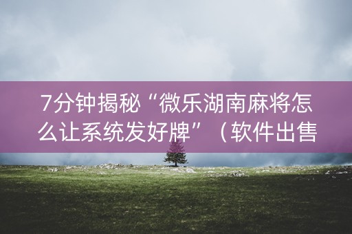 7分钟揭秘“微乐湖南麻将怎么让系统发好牌”（软件出售)
