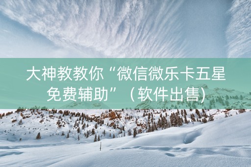 大神教教你“微信微乐卡五星免费辅助”（软件出售)