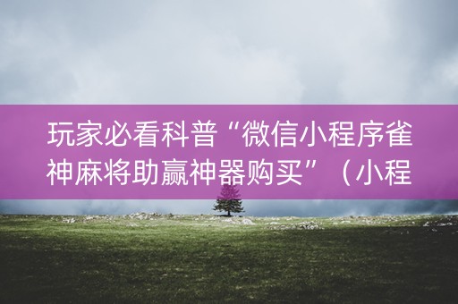 玩家必看科普“微信小程序雀神麻将助赢神器购买”（小程序辅助软件)