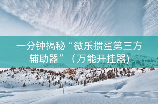 一分钟揭秘“微乐掼蛋第三方辅助器”（万能开挂器)
