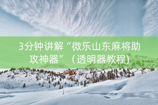 3分钟讲解“微乐山东麻将助攻神器”（透明器教程)