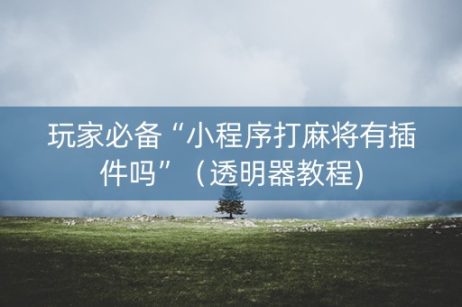 玩家必备“小程序打麻将有插件吗”（透明器教程)