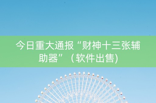 今日重大通报“财神十三张辅助器”（软件出售)