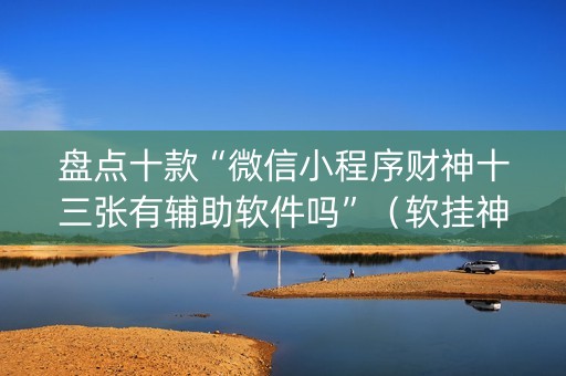 盘点十款“微信小程序财神十三张有辅助软件吗”（软挂神器)