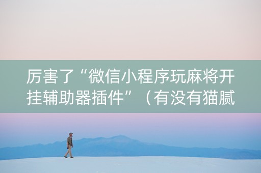 厉害了“微信小程序玩麻将开挂辅助器插件”（有没有猫腻)