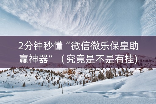 2分钟秒懂“微信微乐保皇助赢神器”（究竟是不是有挂)