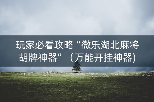 玩家必看攻略“微乐湖北麻将胡牌神器”（万能开挂神器)
