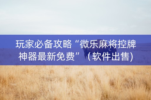 玩家必备攻略“微乐麻将控牌神器最新免费”（软件出售)