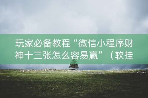 玩家必备教程“微信小程序财神十三张怎么容易赢”（软挂神器)