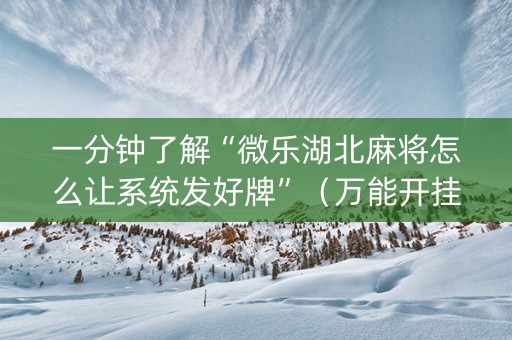 一分钟了解“微乐湖北麻将怎么让系统发好牌”（万能开挂神器)