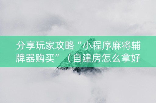 分享玩家攻略“小程序麻将辅牌器购买”（自建房怎么拿好牌)