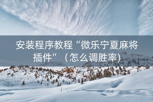 安装程序教程“微乐宁夏麻将插件”（怎么调胜率)