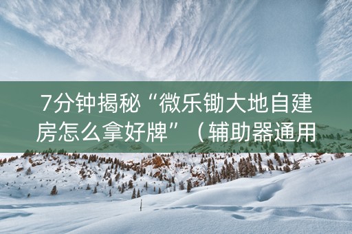 7分钟揭秘“微乐锄大地自建房怎么拿好牌”（辅助器通用版)