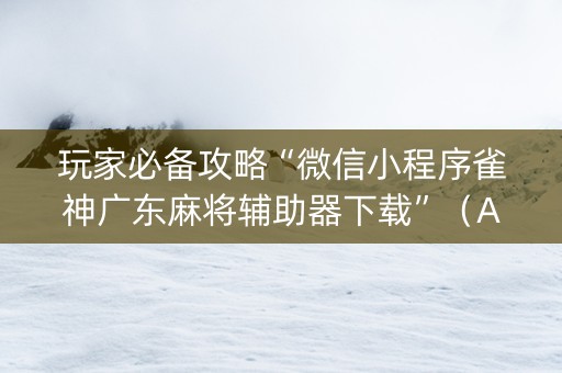 玩家必备攻略“微信小程序雀神广东麻将辅助器下载”（AI辅助胡牌规则)