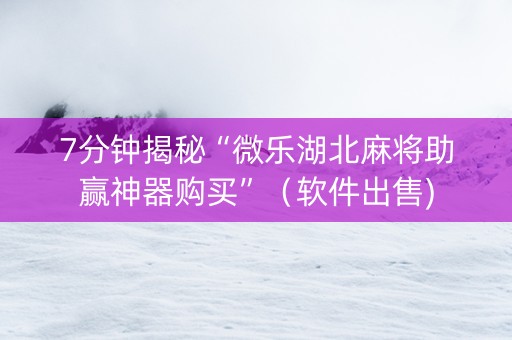 7分钟揭秘“微乐湖北麻将助赢神器购买”（软件出售)
