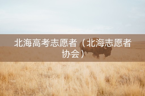 北海高考志愿者（北海志愿者协会）