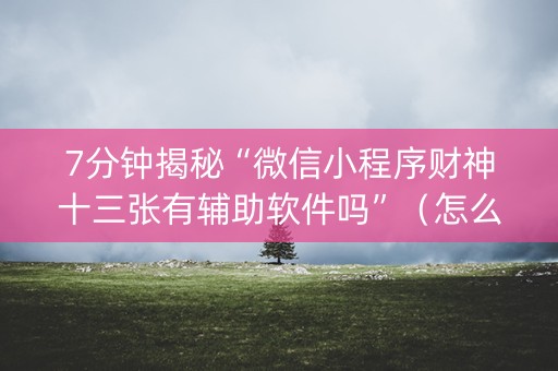 7分钟揭秘“微信小程序财神十三张有辅助软件吗”（怎么让系统给自己好牌)