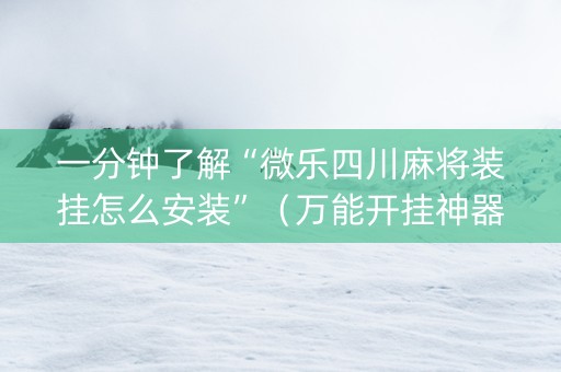 一分钟了解“微乐四川麻将装挂怎么安装”（万能开挂神器)
