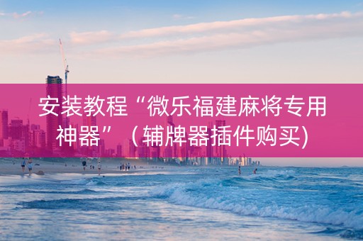 安装教程“微乐福建麻将专用神器”（辅牌器插件购买)