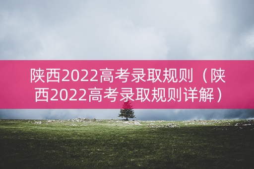 陕西2022高考录取规则（陕西2022高考录取规则详解）