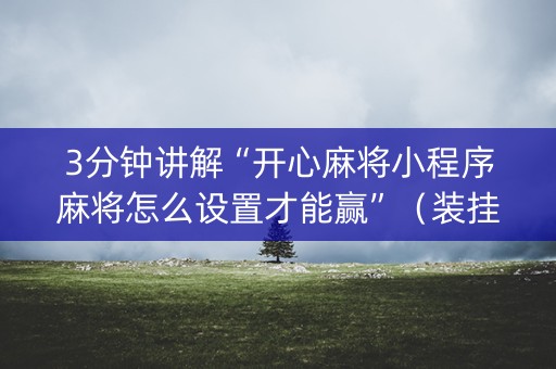 3分钟讲解“开心麻将小程序麻将怎么设置才能赢”（装挂怎么安装)