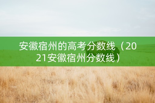 安徽宿州的高考分数线（2021安徽宿州分数线）