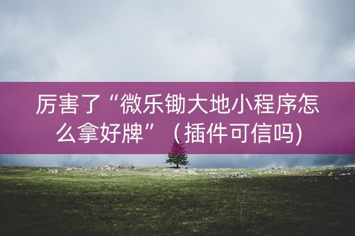 厉害了“微乐锄大地小程序怎么拿好牌”（插件可信吗)