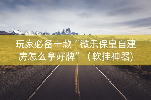 玩家必备十款“微乐保皇自建房怎么拿好牌”（软挂神器)