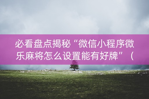 必看盘点揭秘“微信小程序微乐麻将怎么设置能有好牌”（外辅工具)