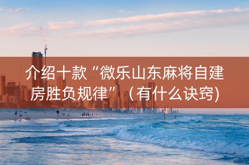 介绍十款“微乐山东麻将自建房胜负规律”（有什么诀窍)