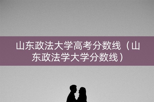 山东政法大学高考分数线（山东政法学大学分数线）