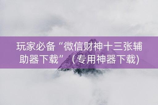 玩家必备“微信财神十三张辅助器下载”（专用神器下载)