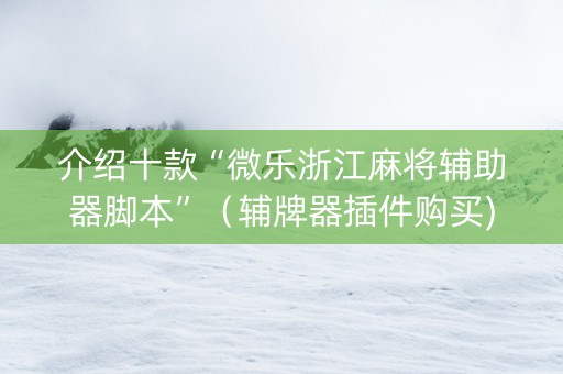 介绍十款“微乐浙江麻将辅助器脚本”（辅牌器插件购买)