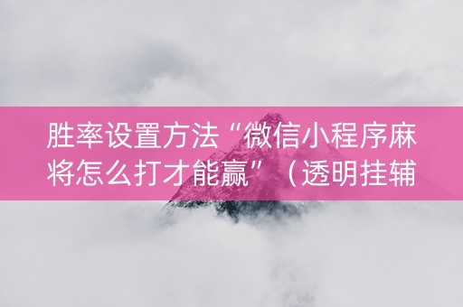 胜率设置方法“微信小程序麻将怎么打才能赢”（透明挂辅助器)