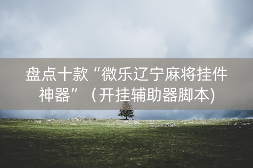 盘点十款“微乐辽宁麻将挂件神器”（开挂辅助器脚本)