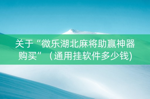 关于“微乐湖北麻将助赢神器购买”（通用挂软件多少钱)