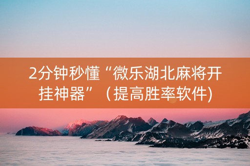 2分钟秒懂“微乐湖北麻将开挂神器”（提高胜率软件)