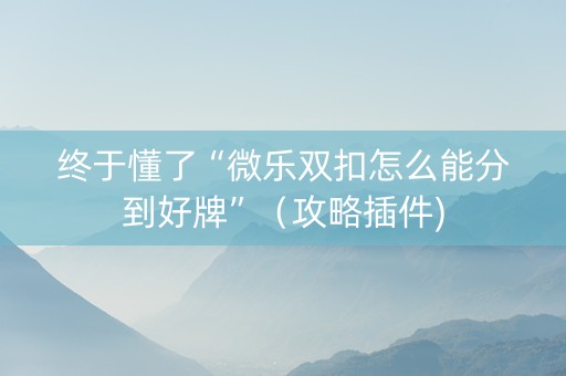 终于懂了“微乐双扣怎么能分到好牌”（攻略插件)